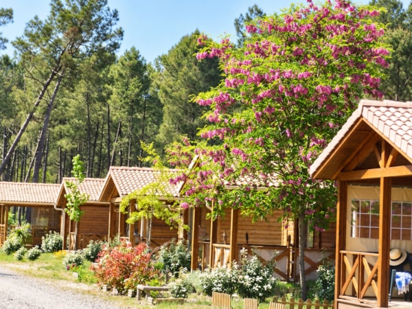 CHALET 6 pers GRAND CONFORT Climatis�