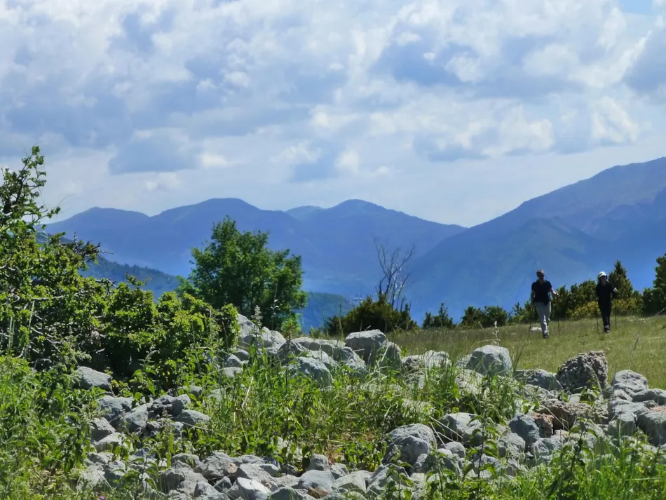 Domaine Chasteuil Verdon Provence