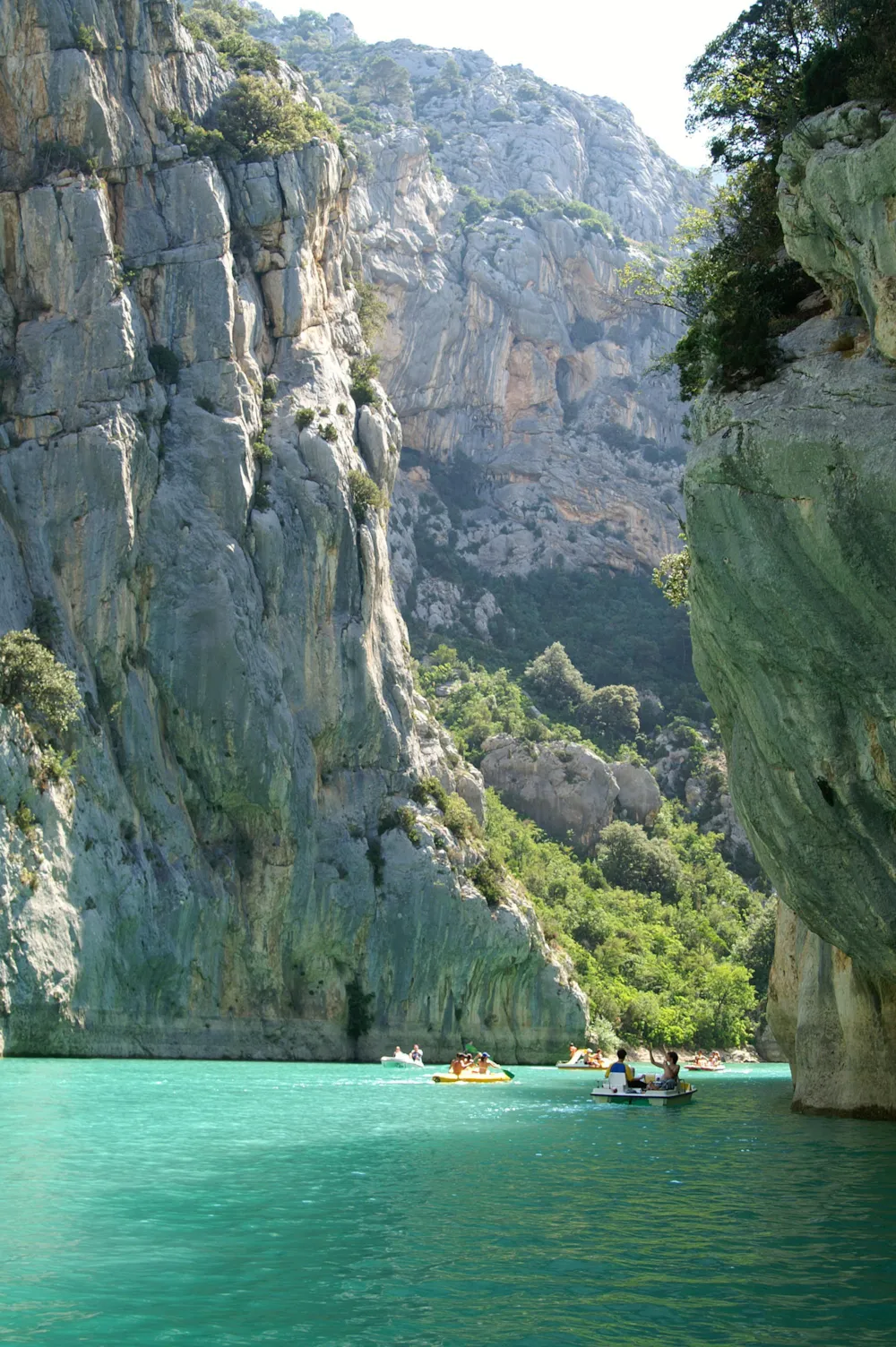 Domaine Chasteuil Verdon Provence