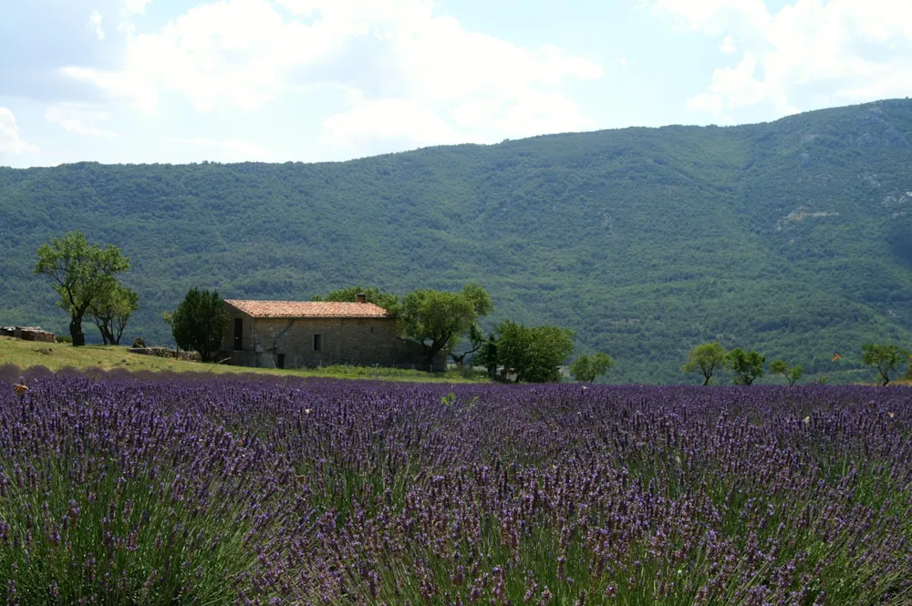 Domaine Chasteuil Verdon Provence