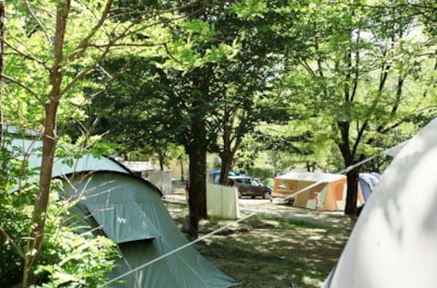Pitch (100m²)
