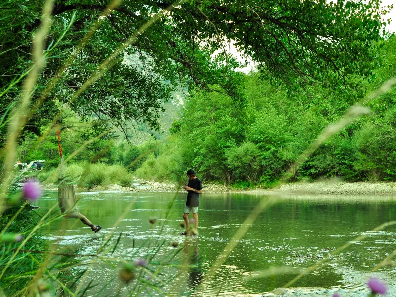 Domaine Chasteuil Verdon Provence