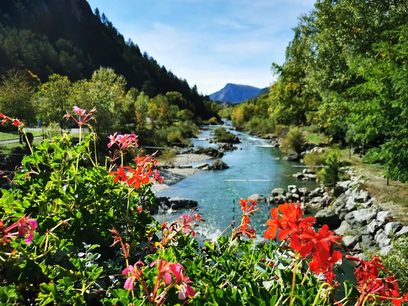 Domaine Chasteuil Verdon Provence