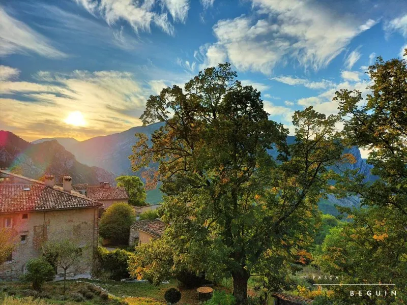 Domaine Chasteuil Verdon Provence