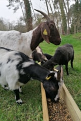 Foto #15 van Camping Val de l’Eyre