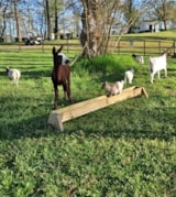 Foto #16 van Camping Val de l’Eyre