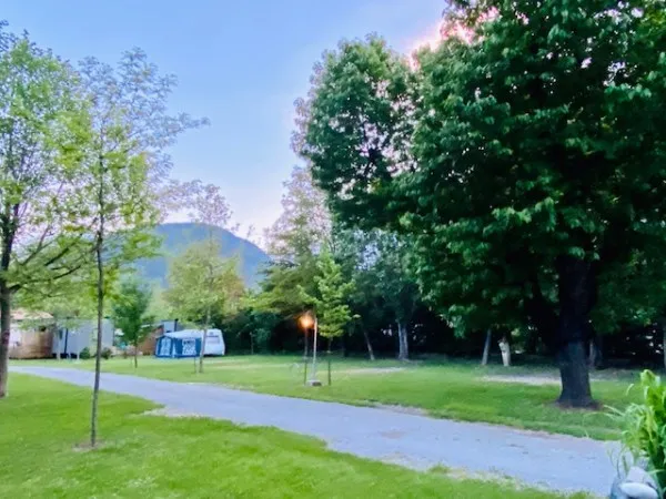 Emplacement - Emplacement : Voiture + Tente /Caravane Ou Camping-Car Électricité - Camping Frédéric Mistral