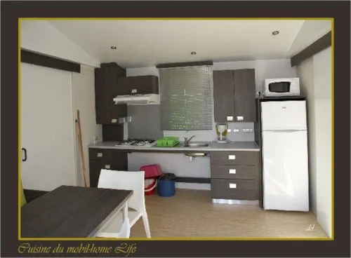 Location - Mobil-Home 34M² / 2 Chambres - Terrasse (Adapté Personne À Mobilité Réduite) Vue Loire - image n°4 - Flower Camping de Mars