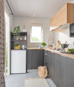Locatif - Mobil-home Vue Loire 33m² Premium / 2 chambres + TV + LV + Clim + Terrasse couverte - Flower Camping de Mars