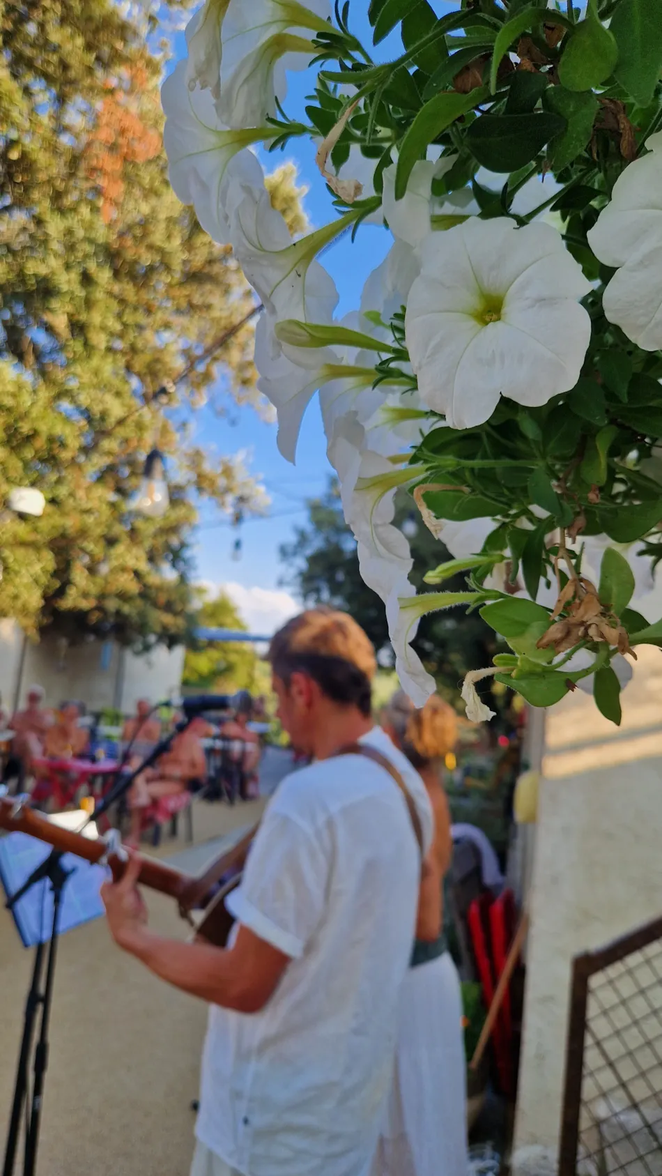 Camping naturiste Verdon Provence