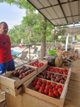 Foto #22 van Camping naturiste Verdon Provence