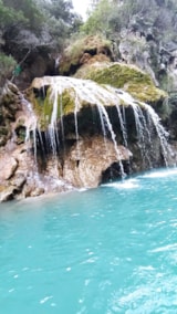 Foto #21 van Flower Camping La Rivière