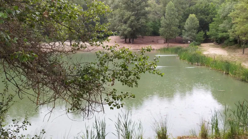 Lodge Sur Pilotis Confort 34M² (2 Chambres) + Terrasse Couverte 10M²