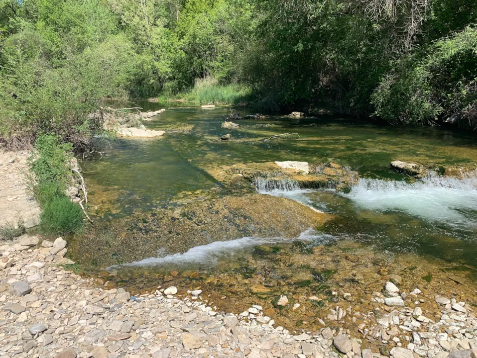 Flower Camping La Rivière