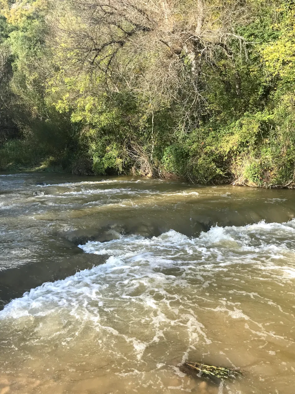 Flower Camping La Rivière
