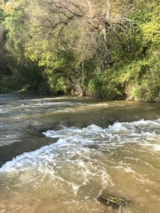 Foto #25 van Flower Camping La Rivière