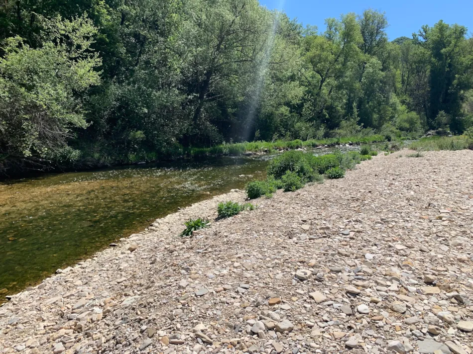 Flower Camping La Rivière