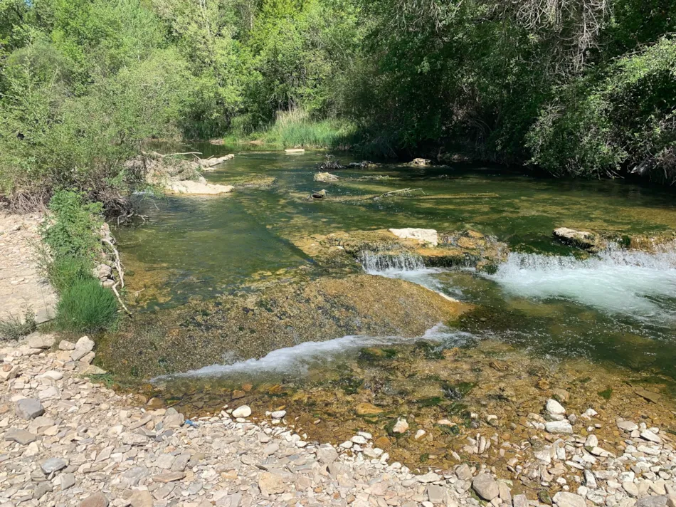 Flower Camping La Rivière