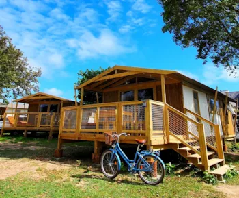 Mietunterkunft - Sweetflower Auf Stelzen Premium 43M² (2 Zimmer) Mit Terrasse 11M² + Tv + Bettwäsche Inklusive - Flower Camping Les Paludiers