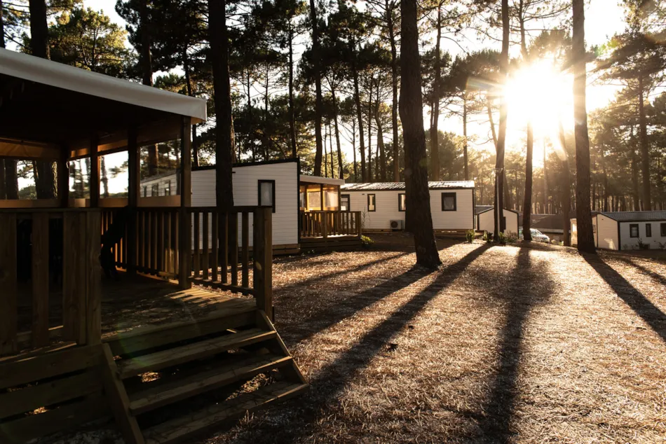 Camping Club Le Vivier - MS Vacances 