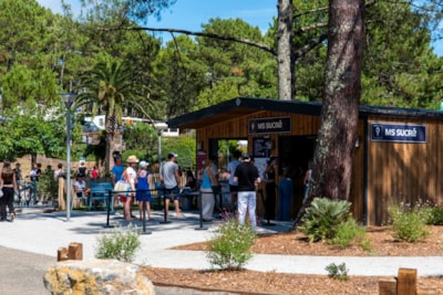 Camping Club Le Vivier - MS Vacances 