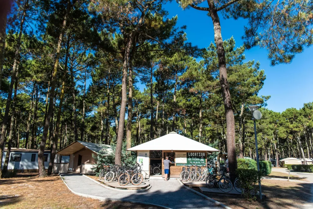 Camping Club Le Vivier - MS Vacances 