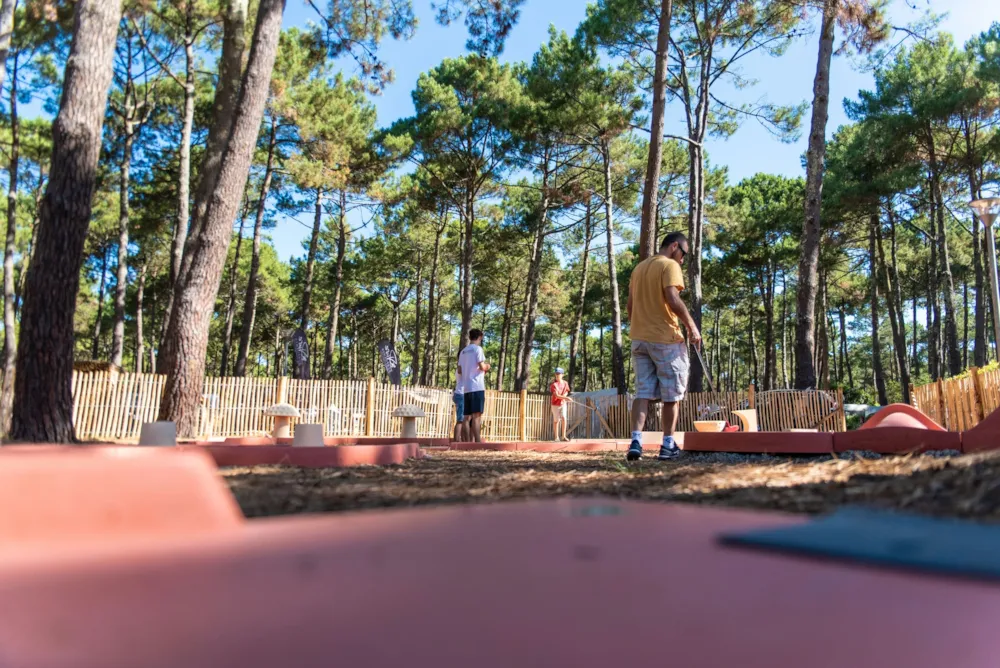 Camping Club Le Vivier - MS Vacances 