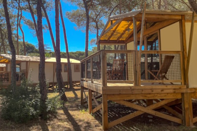 Lodge Samoa / D — 1