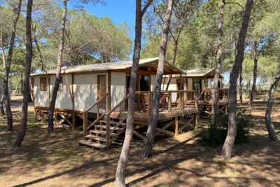 Lodge Samoa / D — 8