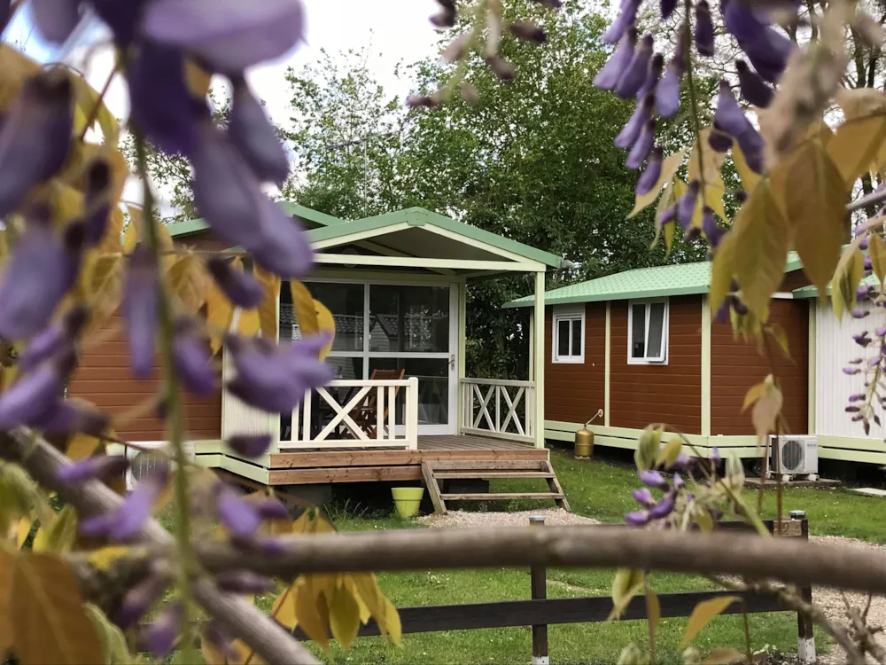 Location - 06-Chalet Confort 24M2 (2Ch - 1/5 Pers.) + Terasse Couverte + Tv + Clim - Flower Camping de la Trye