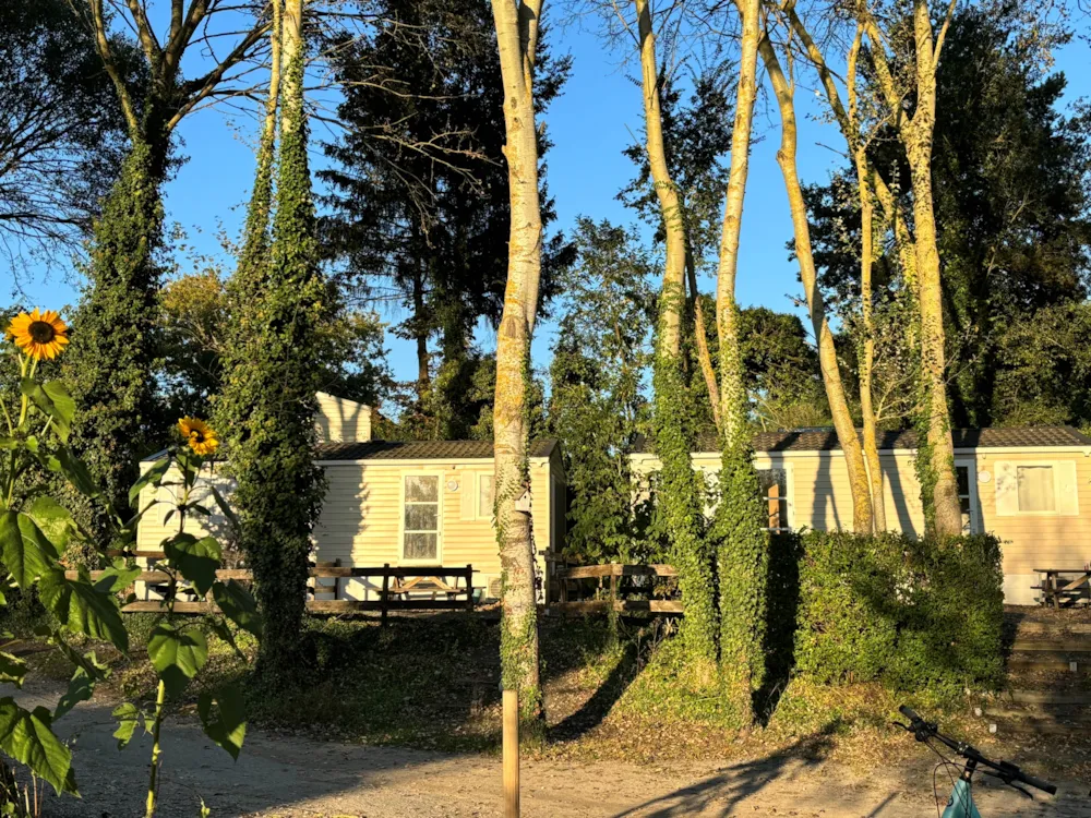 Location - 02-Mobil-Home Mitoyen Standard 17M2 (1Ch - 1/2 Pers.) + Tv + Clim - Flower Camping de la Trye
