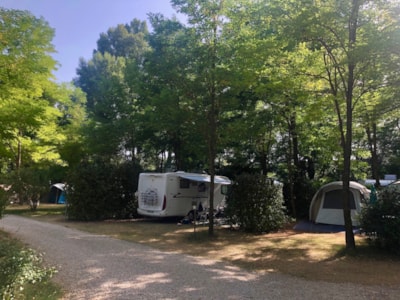 05 Pitch XL PREMIUM (150m²)  vehicle + electricity 10A + Water + Evacuation +150m²