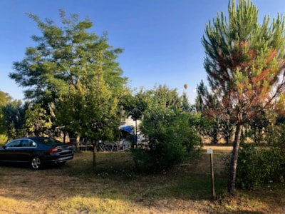 04 Pitch XL + car + Electricity 6A +150m²