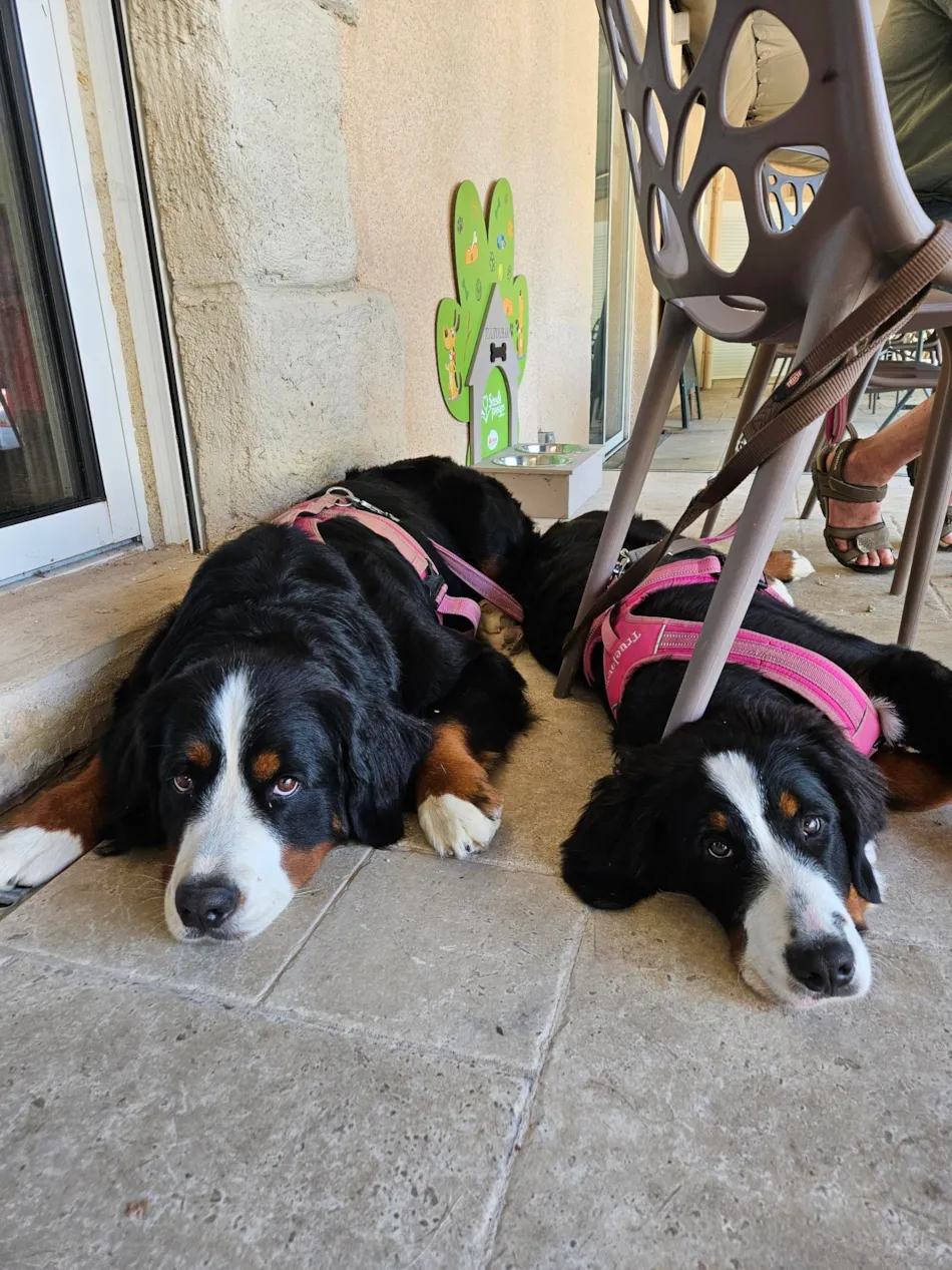 Camping Au Tylo Soleil 