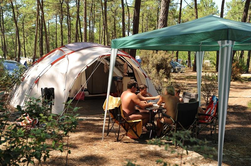 Safari : Emplacement Tente + Électricité