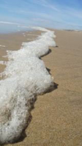 Foto #18 van Euronat Village Naturiste