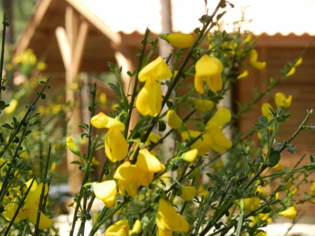 Euronat Village Naturiste - image n°4 - Camping Direct