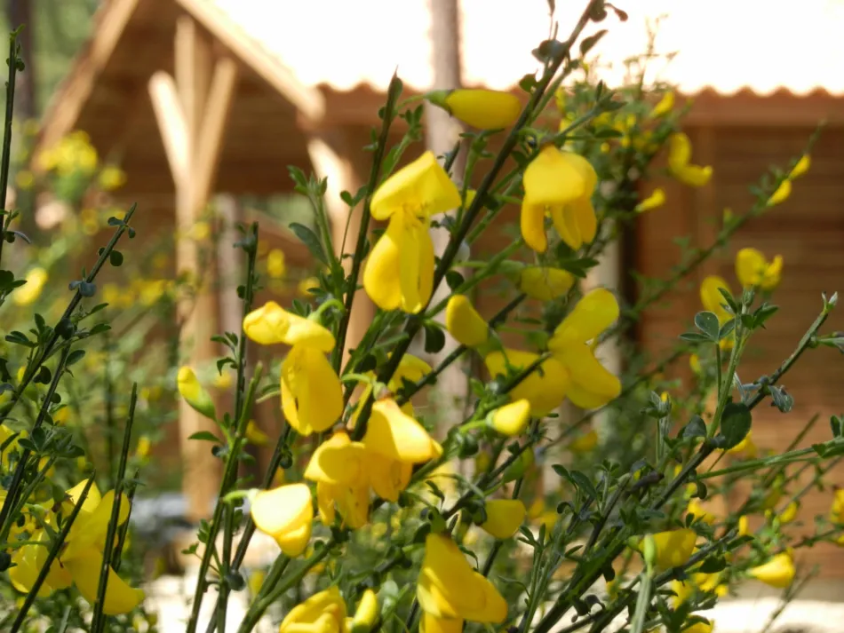 Euronat Village Naturiste