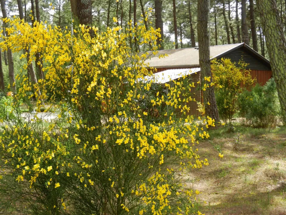 Euronat Village Naturiste