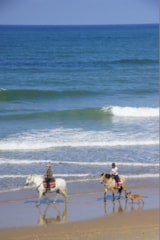 Foto #36 van Euronat Village Naturiste