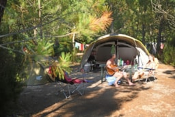 Classic : Standplaats Camper / Caravan (5 À 6.50M)