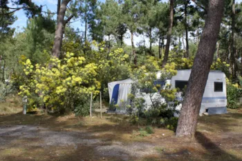 Pitch - Classic : Pitch Camping-Car / Caravan (5 À 6.50M) - Euronat Village Naturiste