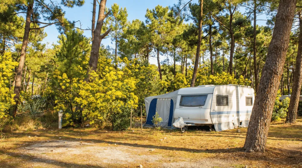 Classic : Emplacement Caravane Ou Camping Car (5 À 6.50M)