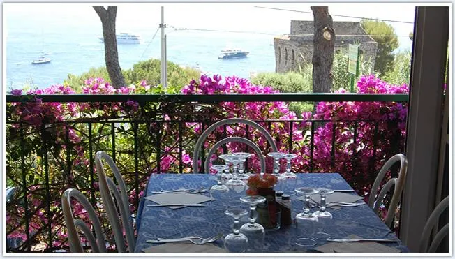 Holiday Village & Camping Nettuno