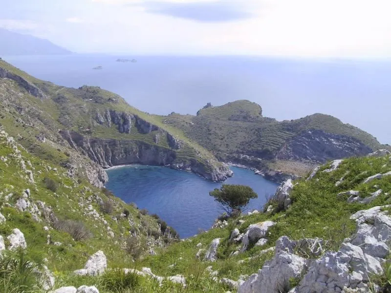 Holiday Village & Camping Nettuno