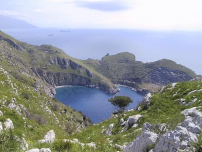 Holiday Village & Camping Nettuno