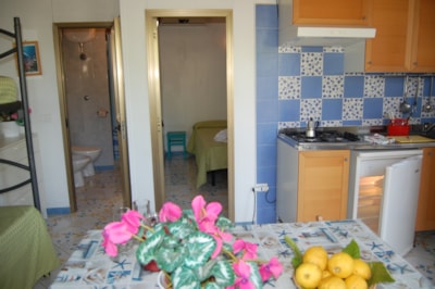 Bungalow superior (air-conditioning, TV, hair dryer) — 3