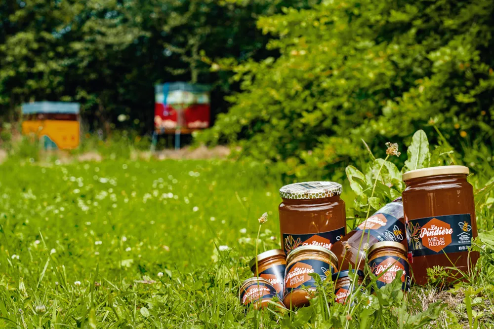 Camping La Pindière