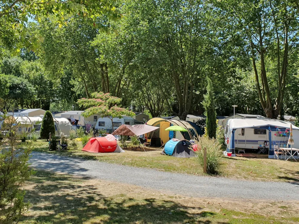 Camping la Taillée - image n°10 - Camping Direct
