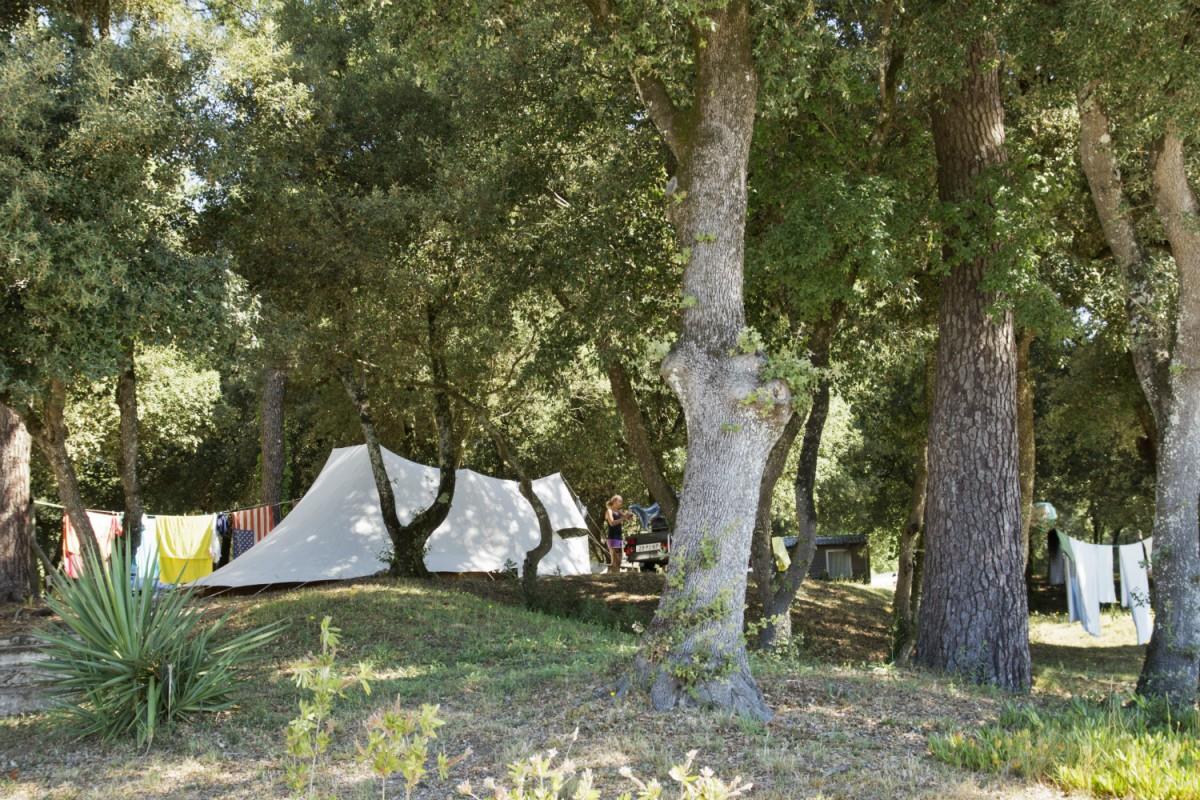 Yukadi Village Le Logis Saint Palais Sur Mer Avis